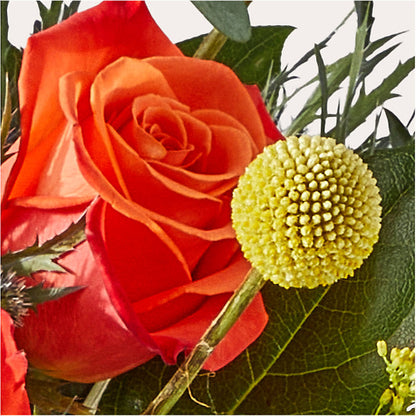 Disco Bouquet –  Gateway Florist, Rockwood TN