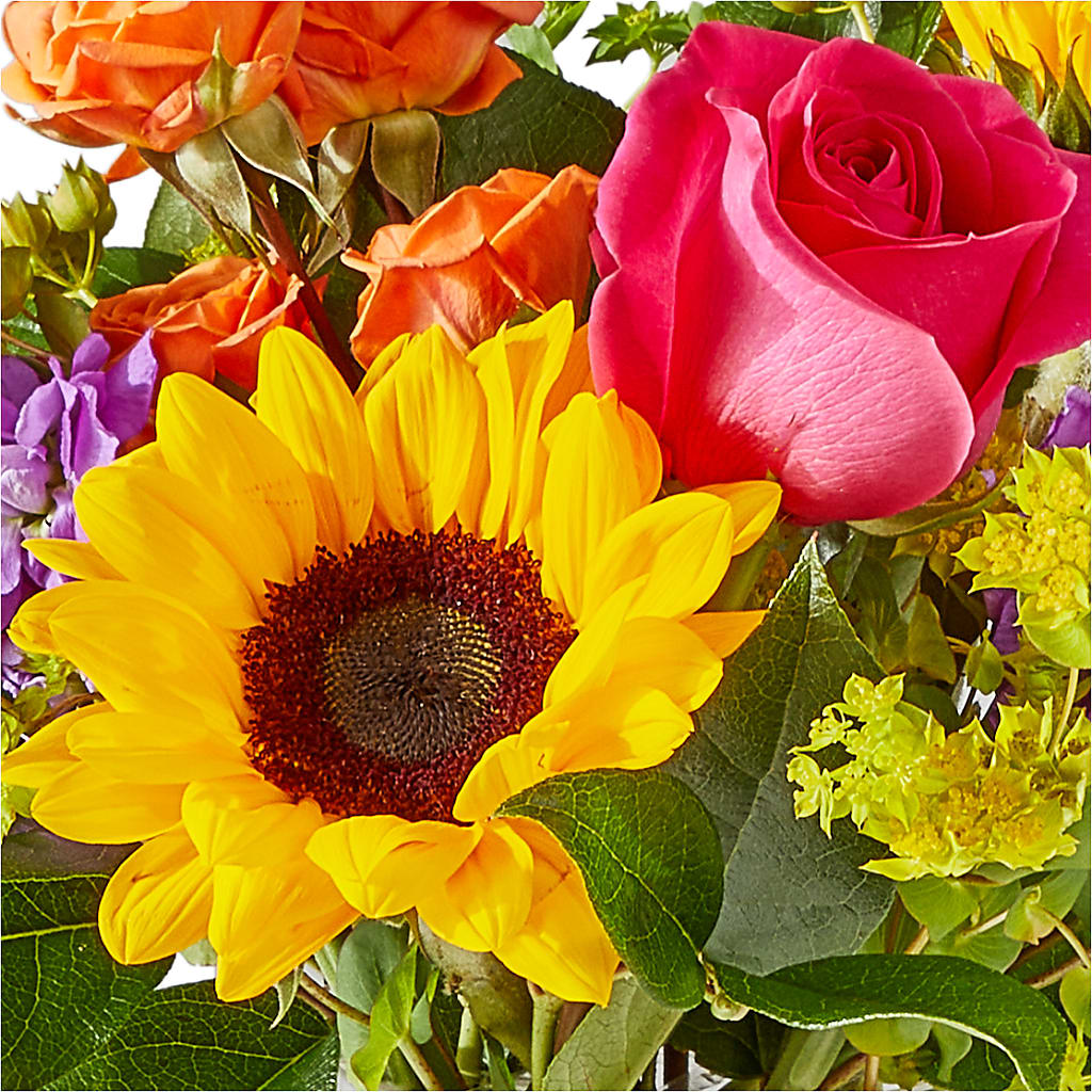 Vibrant Greetings Bouquet –  Gateway Florist, Rockwood TN