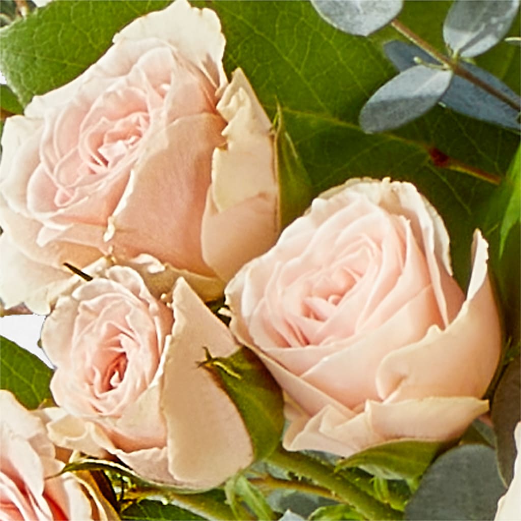 Inspired Bouquet –  Gateway Florist, Rockwood TN