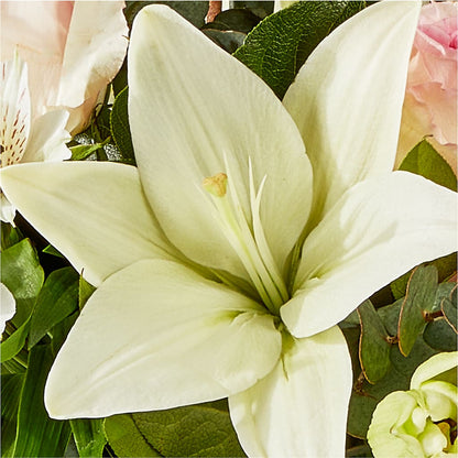 Ballet Slippers Bouquet –  Gateway Florist, Rockwood TN