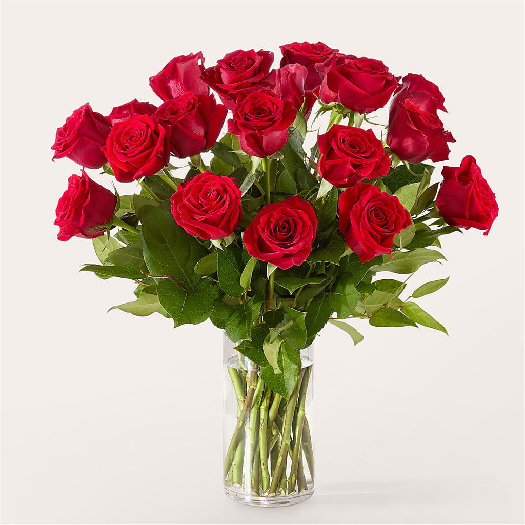 The One Red Rose Bouquet –  Gateway Florist, Rockwood TN