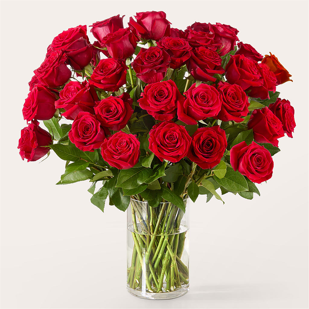 The One Red Rose Bouquet –  Gateway Florist, Rockwood TN