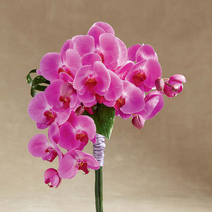Glorious Bouquet –  Gateway Florist, Rockwood TN