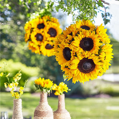 Sublime Garden Hanging Arrangement –  Gateway Florist, Rockwood TN