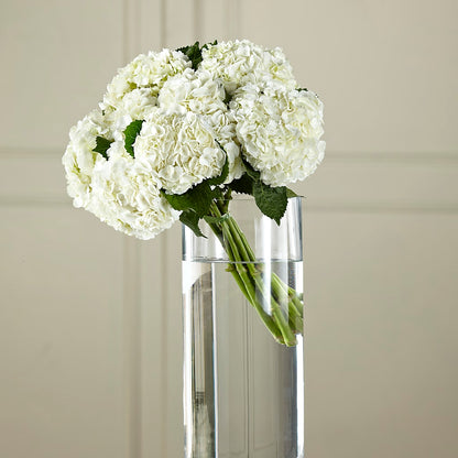 White Hydrangea Hand-Tied Bouquet –  Gateway Florist, Rockwood TN