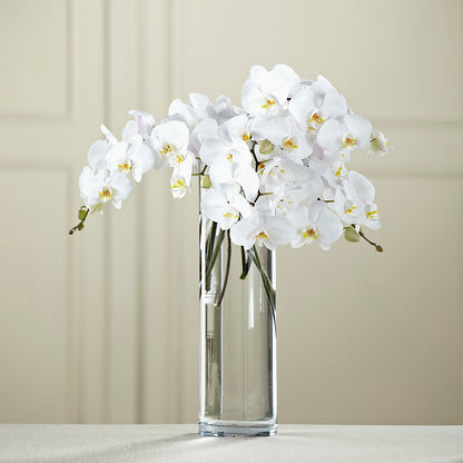 White Phalaenopsis Bouquet –  Gateway Florist, Rockwood TN