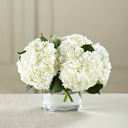 White Hydrangea Bouquet –  Gateway Florist, Rockwood TN